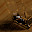KLc3088's user avatar