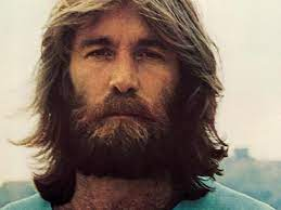 Dennis Wilson Net Worth, Income, Salary, Earnings, Biography, How much money make?