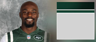 Santonio Holmes Net Worth, Income, Salary, Earnings, Biography, How much money make?