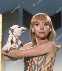 Shari Lewis Net Worth, Income, Salary, Earnings, Biography, How much money make? Shari Lewis Net Worth, Income, Salary, Earnings, Biography, How much money make?
