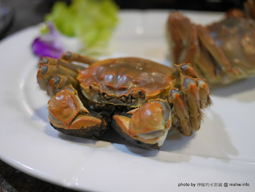 【食記】台中海鮮-拾八鮮原味海鮮燒物@南屯惠文國小&惠來公園 : 鮮味滿點好食在,台中聚餐下酒.晚餐宵夜新選擇! 區域 南屯區 台中市 台式 合菜 宵夜 居酒屋 晚餐 海鮮 火鍋/鍋物 生魚片 飲食/食記/吃吃喝喝 