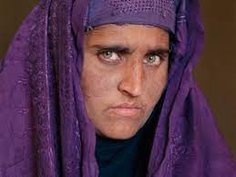 Sharbat Gula Net Worth, Income, Salary, Earnings, Biography, How much money make? Sharbat Gula Net Worth, Income, Salary, Earnings, Biography, How much money make?