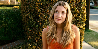 Sarah Roemer Net Worth, Income, Salary, Earnings, Biography, How much money make?