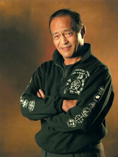 Dan Inosanto Net Worth, Income, Salary, Earnings, Biography, How much money make?