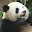 pangbryant's user avatar