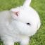 Melchia's user avatar