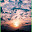 Fatima Gull's user avatar