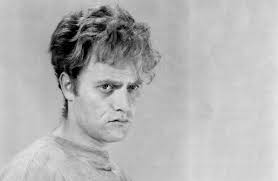 Vic Morrow Net Worth, Income, Salary, Earnings, Biography, How much money make?