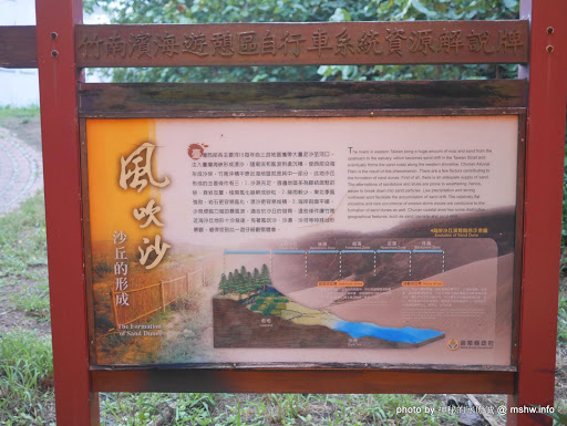 【景點】苗栗假日之森白砂海岸@竹南濱海休憩區 : 沒有比基尼辣妹的白沙灘與防風林, 可以悠閒放鬆一整天... 區域 拍片景點 旅行 景點 海岸 竹南鎮 苗栗縣 