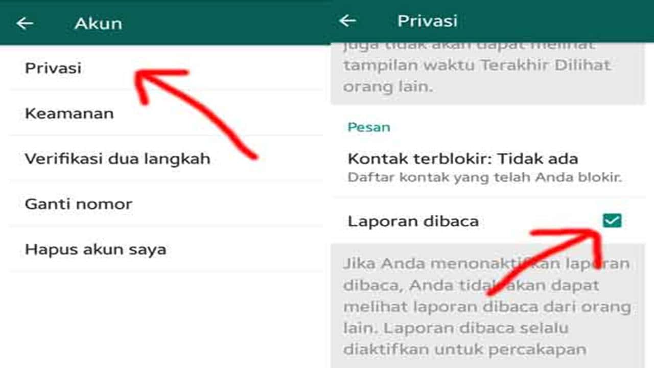 Cara Menyembunyikan Status Online Dan Terakhir Dibaca Wa