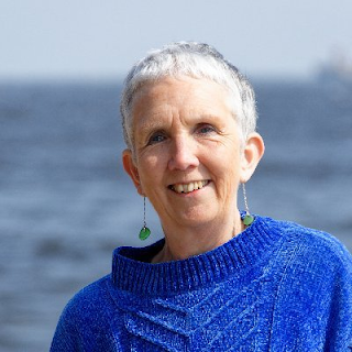 Ann Cleeves Net Worth, Income, Salary, Earnings, Biography, How much money make?