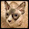 Chuck's user avatar