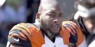 Devon Still Net Worth, Income, Salary, Earnings, Biography, How much money make?