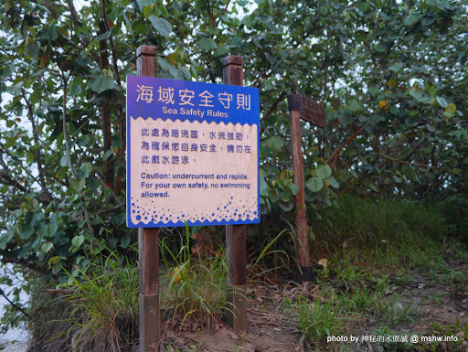 【景點】苗栗假日之森白砂海岸@竹南濱海休憩區 : 沒有比基尼辣妹的白沙灘與防風林, 可以悠閒放鬆一整天... 區域 拍片景點 旅行 景點 海岸 竹南鎮 苗栗縣 
