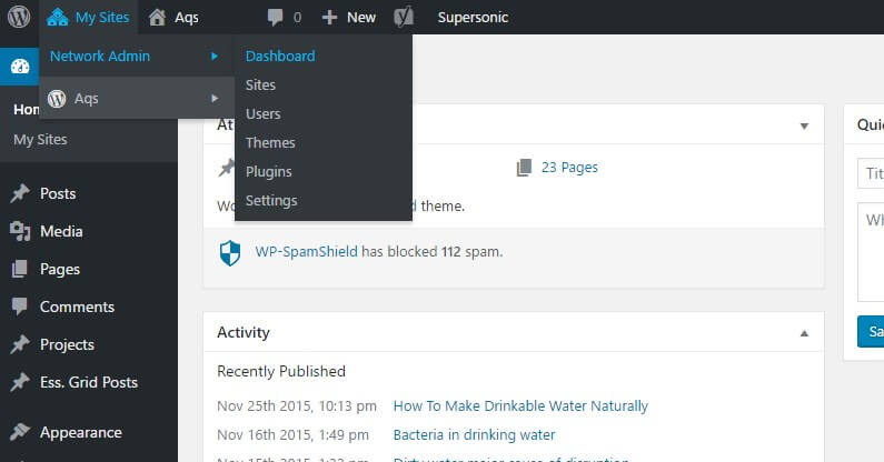 wpmultisitenetwork-mysites-networkadmin-795x416.jpg