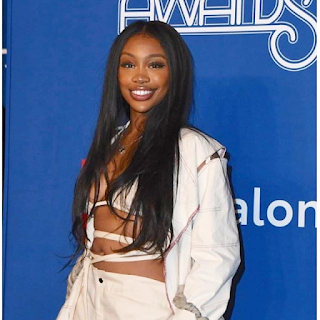 SZA (Singer) Wiki, Biography, Age, Height, Weight, Boyfriend, Net Worth, Career, Family, Facts