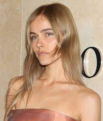 Isabel Lucas Net Worth, Income, Salary, Earnings, Biography, How much money make?