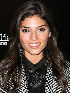 Amanda Setton Net Worth, Income, Salary, Earnings, Biography, How much money make? Amanda Setton Net Worth, Income, Salary, Earnings, Biography, How much money make?
