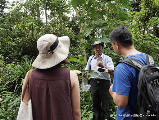 【景點】【食記】苗栗舊山線主題旅程一日遊-茅鄉炭坊.桐花走廊.金榜麵館.鯉魚潭水庫.火炎山森林生態教育館@川流不息, 三義古道自然行! 三義鄉 中式 區域 午餐 博物館 台式 地區導覽指南 小吃 旅行 晚餐 景點 苗栗縣 飲食/食記/吃吃喝喝 麵食類 