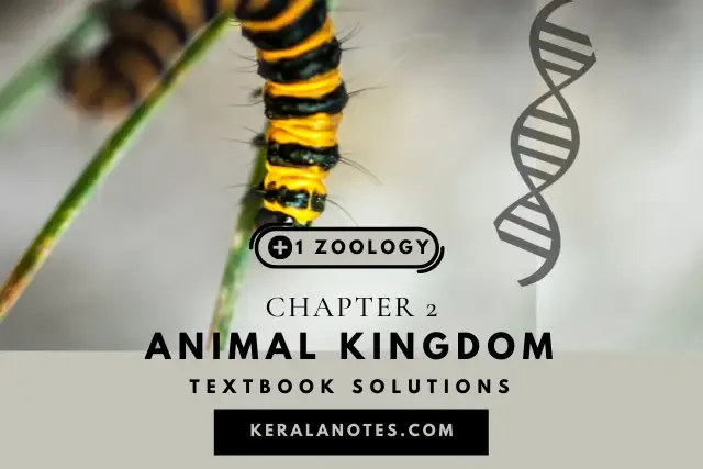 Plus One Zoology Solution Chapter 2 Animal Kingdom