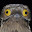 Galandil's user avatar
