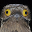 Galandil's user avatar