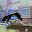 fish's user avatar
