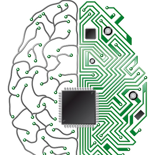 Brain Bytes's user avatar