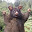 Guguhl Pluhs's user avatar