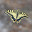 kelalaka's user avatar