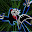 Roman Spiak's user avatar