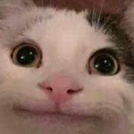 HydroKing's user avatar