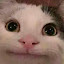 HydroKing's user avatar