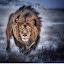 Erfan Ta's user avatar