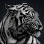 shlomi's user avatar