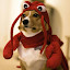 Red Langosta's user avatar