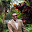 eduardo mendonça's user avatar