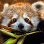 cngzz1's user avatar