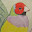 Sarah-Jayne Hucks's user avatar