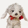 Suici Doga's user avatar