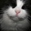 kristakis's user avatar