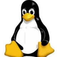 feilong gao's user avatar