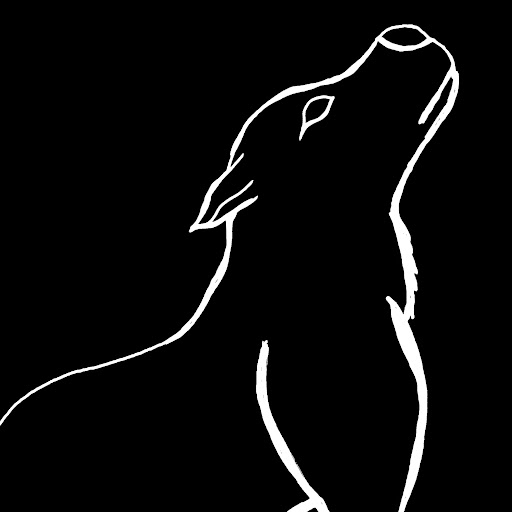 NoSock's user avatar