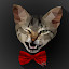 Jarry Roxwell's user avatar