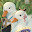 Andrea's user avatar