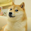 mathdoge's user avatar
