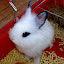 Jim Klimov's user avatar