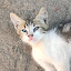 Bax Mut's user avatar