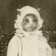 whatshisface's user avatar