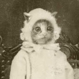 whatshisface's user avatar